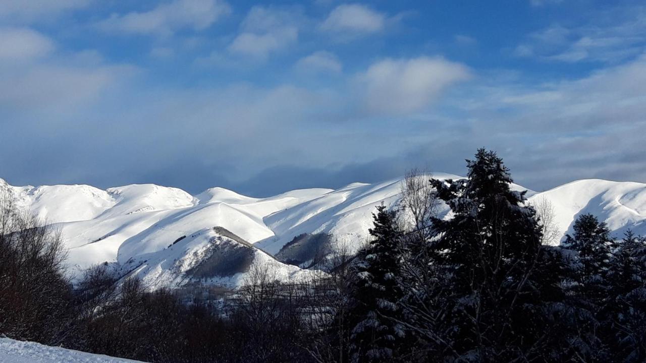 2 Appt 4 à 6 Pers Val Louron Au Pied Des Pistes Génos
